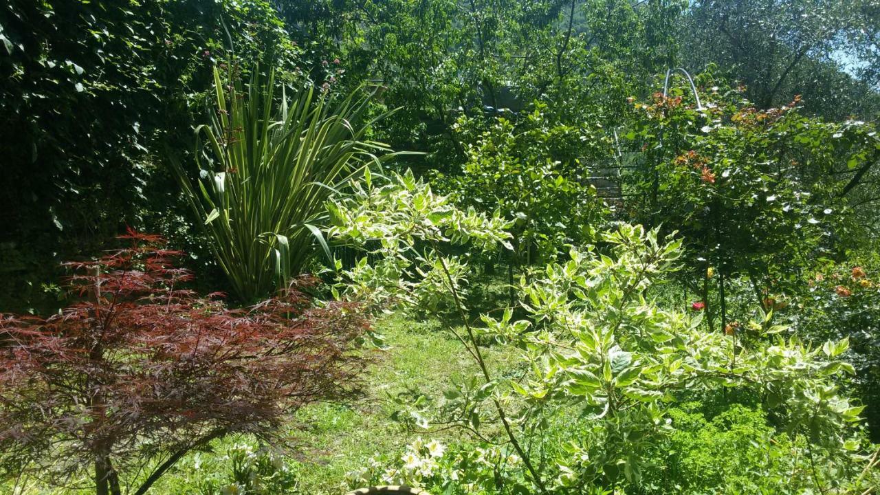 Il Giardino Delle Ortensie Lejlighed Salto Chiesa Eksteriør billede